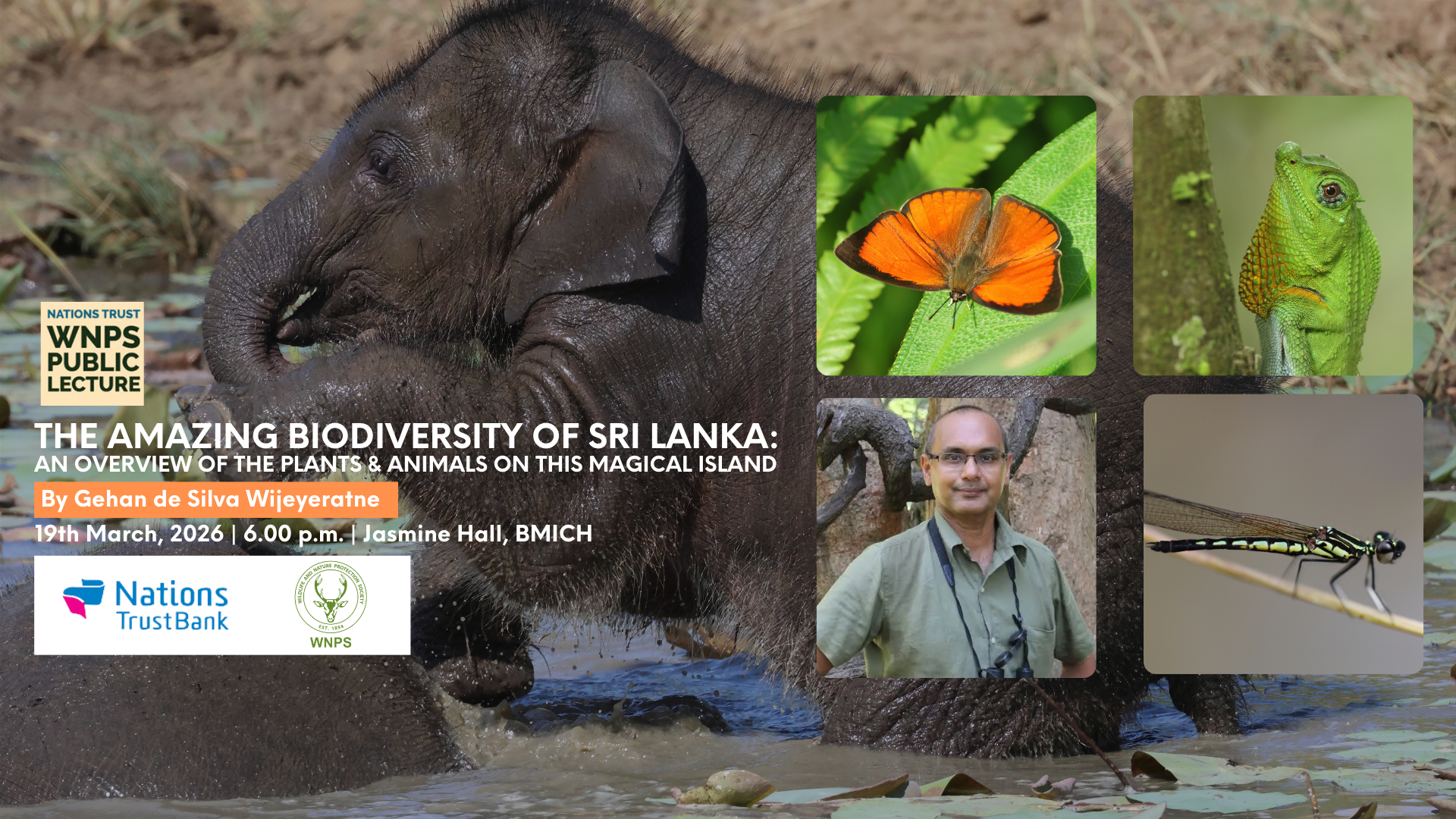 The amazing biodiversity of Sri Lanka: An overview of the plants & animals on this magical island.