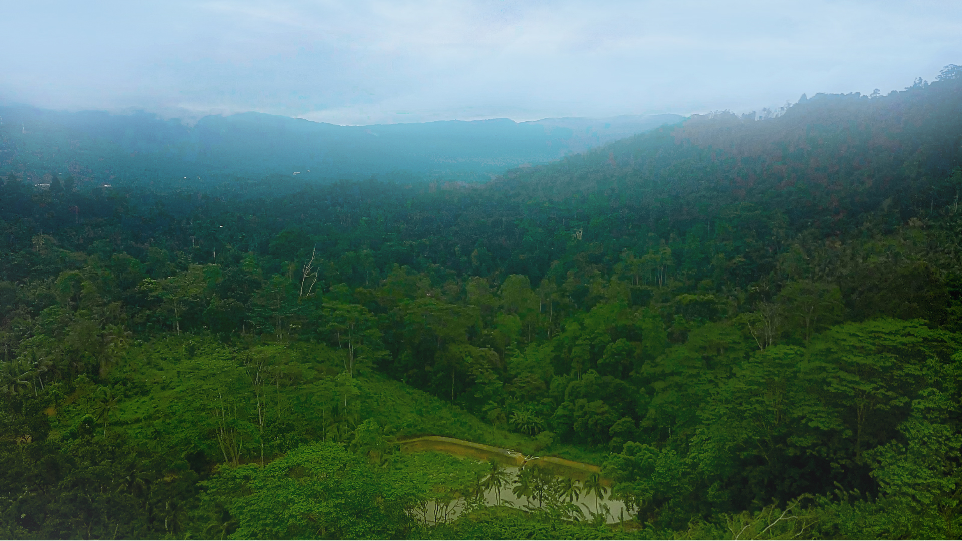 Sinharaja (Gin – Nilwala Irrigation Project)