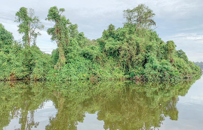 New Islands of Hope: Geoffrey Bawa Trust and WNPS PLANT unite to restore Lanka’s vanishing ecosystems